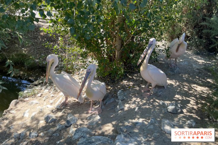 CenterParcs : Domaine Le Bois aux Daims et ses alentours