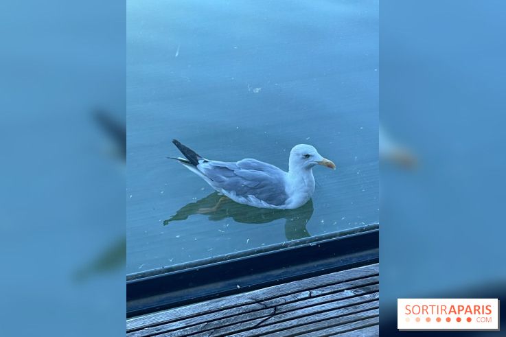 CenterParcs : Domaine Le Bois aux Daims et ses alentours