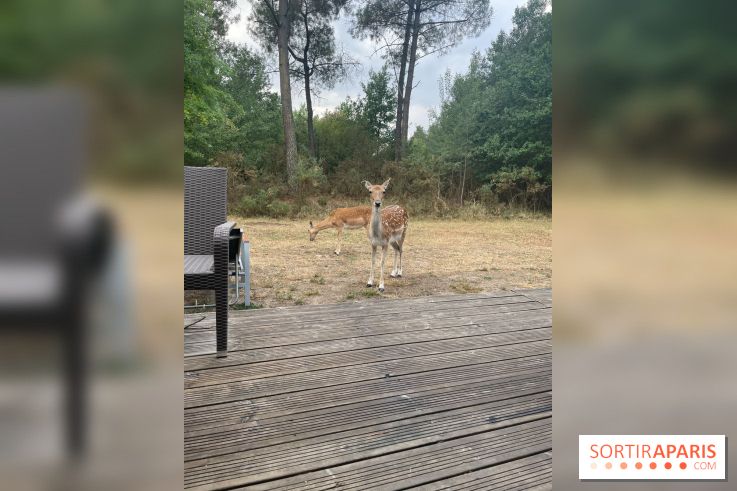 CenterParcs : Domaine Le Bois aux Daims et ses alentours