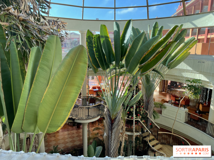 Hôtel Sheraton Fuerteventura  Beach, Golf and Spa Resort