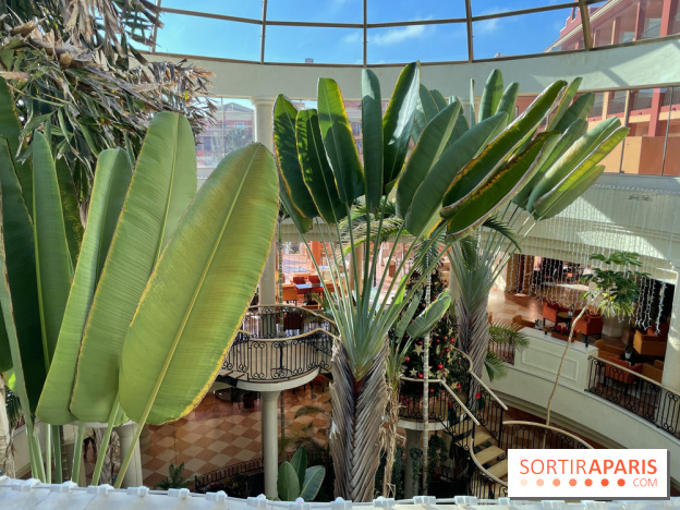 Hôtel Sheraton Fuerteventura  Beach, Golf and Spa Resort