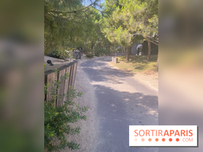 Plage Palace à Palavas les flots : nos photos  - Allée