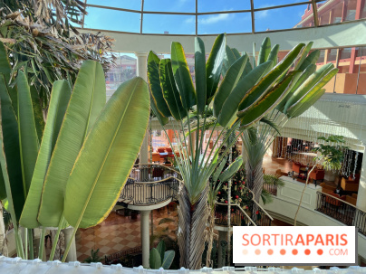 Hôtel Sheraton Fuerteventura  Beach, Golf and Spa Resort