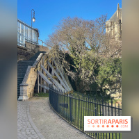 Bourges - Cathédrale