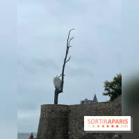 Villa Reine Hortense à Dinard : nos photos - IMG 1051