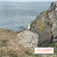 Villa Reine Hortense à Dinard : nos photos - IMG 1485