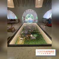 Forte Resort, images du centre  - IMG 2063