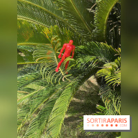 Forte Resort, images du centre  - IMG 2777