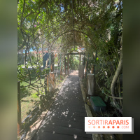 Forte Resort, images du centre  - IMG 3418