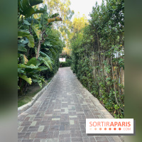 Forte Resort, images du centre  - IMG 3510