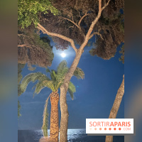 Forte Resort, images du centre  - IMG 3720