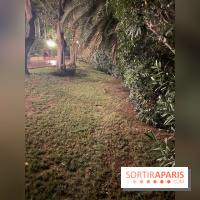 Forte Resort : Hôtel Bouganville  - IMG 2689