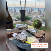 Forte Resort : Restaurant Wild Scandinavian BBQ  - IMG 3589