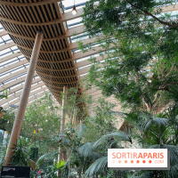 Center Parcs Les Trois Forêts