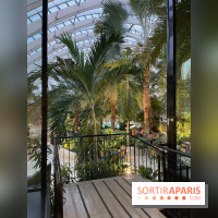 Center Parcs Les Trois Forêts - IMG 2402