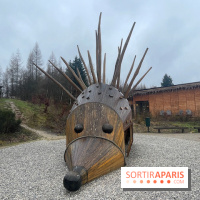 Center Parcs Les Trois Forêts - IMG 2476