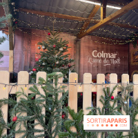 Hôtel Esquisse et marché de Noël de Colmar