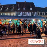 Hôtel Esquisse et marché de Noël de Colmar