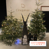 Hôtel Esquisse et marché de Noël de Colmar