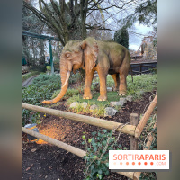 Europa Park : Parc d'attraction