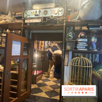 Hôtel Krønasår : Aventure 4 Étoiles près de Rulantica à Europa Park - IMG 2991