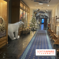 Hôtel Krønasår : Aventure 4 Étoiles près de Rulantica à Europa Park - IMG 2992