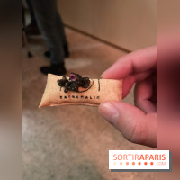 Eatrenalin à Europa Park - IMG 3119