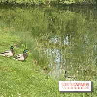 Center Parcs Lac d'Ailette - IMG 7613