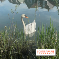 Center Parcs Lac d'Ailette - IMG 7615