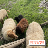 Center Parcs Lac d'Ailette - IMG 7700