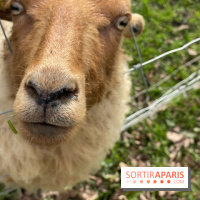 Center Parcs Lac d'Ailette - IMG 7705