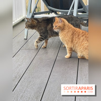 Center Parcs Lac d'Ailette - IMG 7729