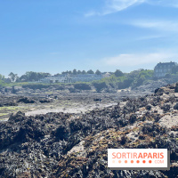 Emeria Dinard