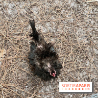 Center Parcs Landes de Gascogne : Nos Photos - IMG 6509