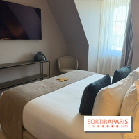 Chambre avec télévision à Fleur de Loire