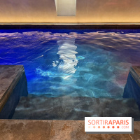 Piscine intérieure du spa de Fleur de Loire