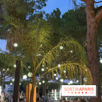 Une soirée estivale sous les pins