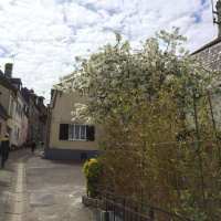Photos Baie de Somme