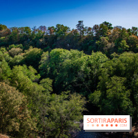 Le Château de Vault-de-Lugny - excursions dans la région