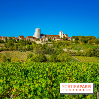 Le Château de Vault-de-Lugny - excursions dans la région