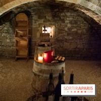 Le Château de Vault-de-Lugny - excursions dans la région