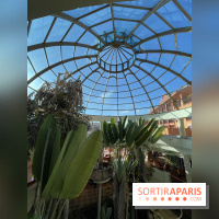 Hôtel Sheraton Fuerteventura  Beach, Golf and Spa Resort