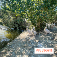 CenterParcs : Domaine Le Bois aux Daims et ses alentours