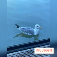 CenterParcs : Domaine Le Bois aux Daims et ses alentours