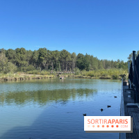 CenterParcs : Domaine Le Bois aux Daims et ses alentours