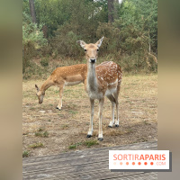 CenterParcs : Domaine Le Bois aux Daims et ses alentours