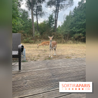 CenterParcs : Domaine Le Bois aux Daims et ses alentours