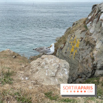 Villa Reine Hortense à Dinard : nos photos - IMG 1485