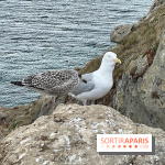 Villa Reine Hortense à Dinard : nos photos - IMG 1487