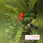 Forte Resort, images du centre  - IMG 2777